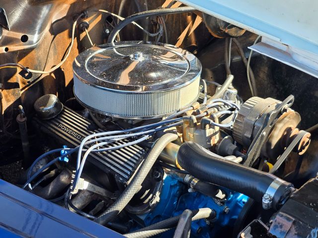 1955 Dodge Pickup 5 Window 1955 Dodge Pickup 5 Window