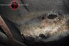 1958 Amc Rambler Project Car with 2 Engines 1958 Amc Rambler Project Car with 2 Engines