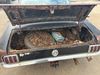 1965 Ford Mustang Fastback | Wylie, TX | Collins Bros Jeep