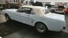 1966 Ford MUSTANG PONY INTERIOR | Columbus, Ohio | Arena Motor Sales, LLC 1966 Ford MUSTANG PONY INTERIOR | Columbus, Ohio | Arena Motor Sales, LLC