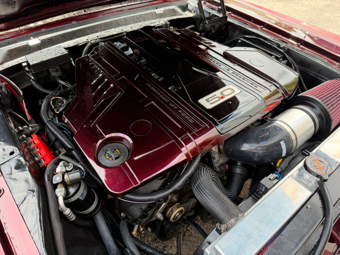 1966 ford mustang 173