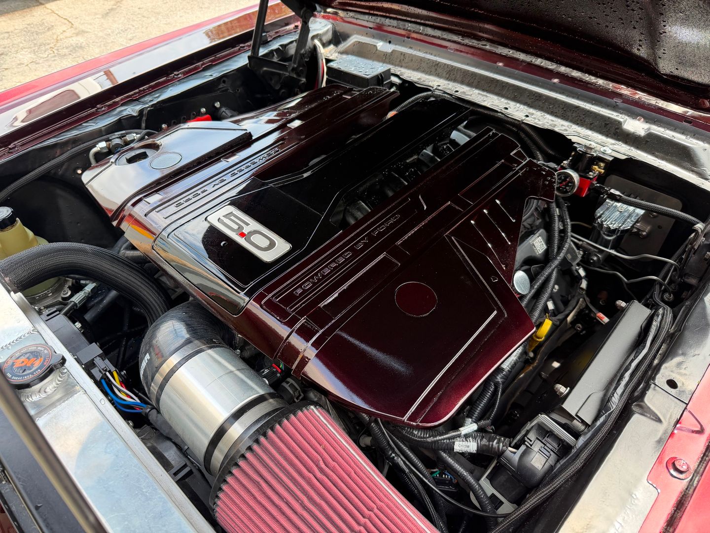 1966 ford mustang 183