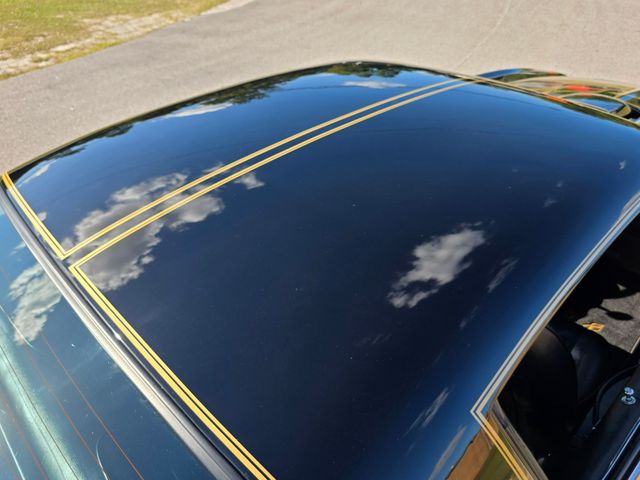 1976 Pontiac Trans Am 50th Anniversary Edition 1976 Pontiac Trans Am 50th Anniversary Edition