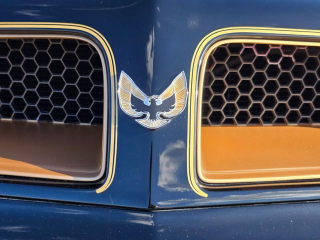 1976 Pontiac Trans Am 50th Anniversary Edition 1976 Pontiac Trans Am 50th Anniversary Edition