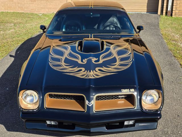 1976 Pontiac Trans Am 50th Anniversary Edition 1976 Pontiac Trans Am 50th Anniversary Edition