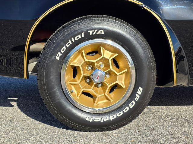 1976 Pontiac Trans Am 50th Anniversary Edition 1976 Pontiac Trans Am 50th Anniversary Edition