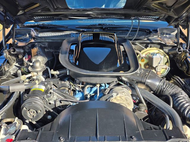 1976 Pontiac Trans Am 50th Anniversary Edition 1976 Pontiac Trans Am 50th Anniversary Edition