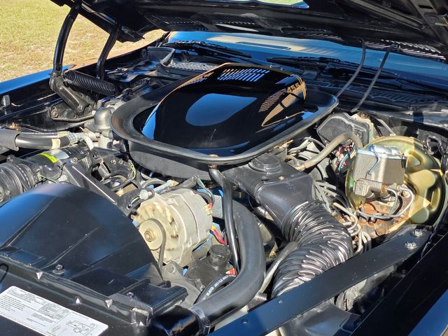 1976 Pontiac Trans Am 50th Anniversary Edition 1976 Pontiac Trans Am 50th Anniversary Edition