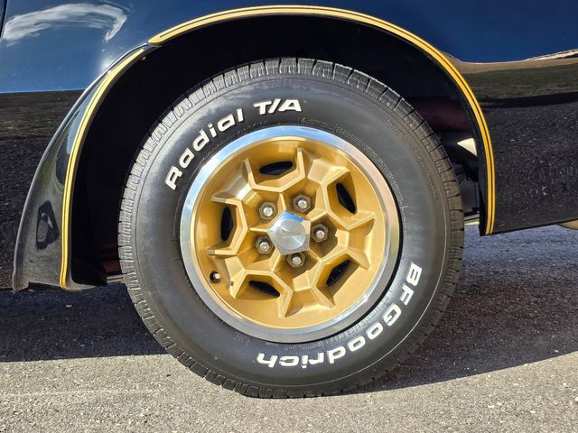 1976 Pontiac Trans Am 50th Anniversary Edition 1976 Pontiac Trans Am 50th Anniversary Edition