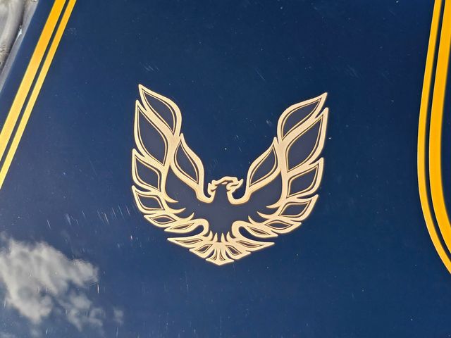 1976 Pontiac Trans Am 50th Anniversary Edition 1976 Pontiac Trans Am 50th Anniversary Edition