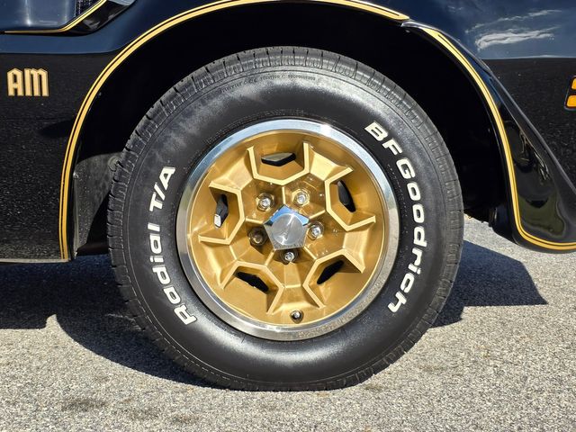 1976 Pontiac Trans Am 50th Anniversary Edition 1976 Pontiac Trans Am 50th Anniversary Edition
