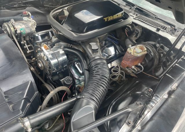 1979 Pontiac Firebird Trans Am