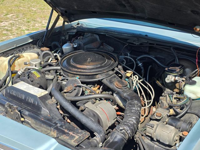1981 Buick Riviera Coupe 1981 Buick Riviera Coupe