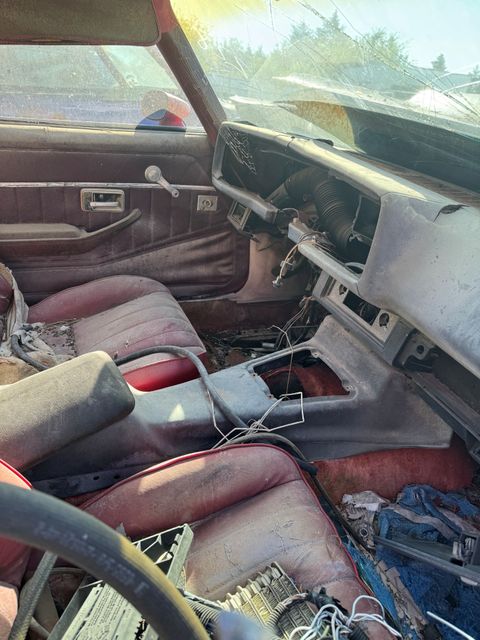 1981 Chevrolet Camaro Z28