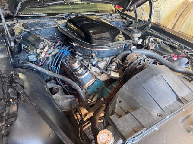 1981 Pontiac Firebird Trans Am | Valley Park, Missouri | VELOCITY PERFORMANCE GARAGE 1981 Pontiac Firebird Trans Am | Valley Park, Missouri | VELOCITY PERFORMANCE GARAGE