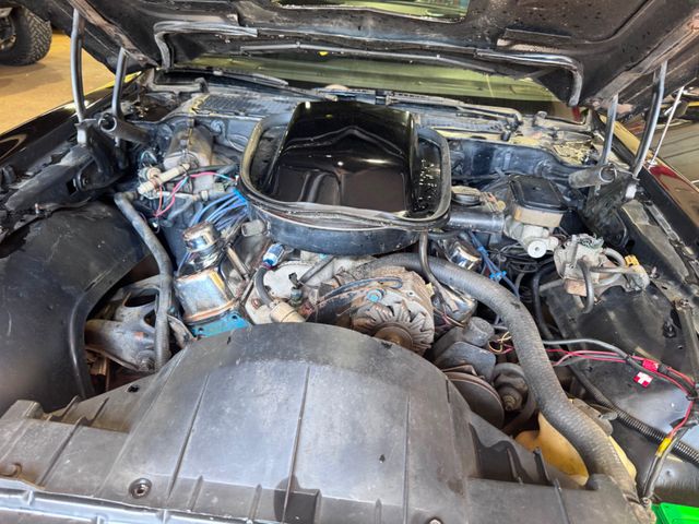 1981 Pontiac Firebird Trans Am | Valley Park, Missouri | VELOCITY PERFORMANCE GARAGE 1981 Pontiac Firebird Trans Am | Valley Park, Missouri | VELOCITY PERFORMANCE GARAGE