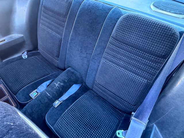 1981 Pontiac Firebird Trans Am | Valley Park, Missouri | VELOCITY PERFORMANCE GARAGE 1981 Pontiac Firebird Trans Am | Valley Park, Missouri | VELOCITY PERFORMANCE GARAGE