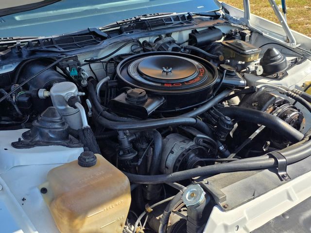 1984 Chevrolet Camaro Z28 1984 Chevrolet Camaro Z28