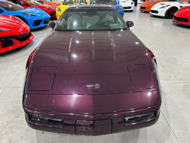 1994 Chevrolet Corvette Coupe Glass Top, Alloys, Auto, Black Rose, 21k | Dallas, Texas | Corvette Warehouse 1994 Chevrolet Corvette Coupe Glass Top, Alloys, Auto, Black Rose, 21k | Dallas, Texas | Corvette Warehouse