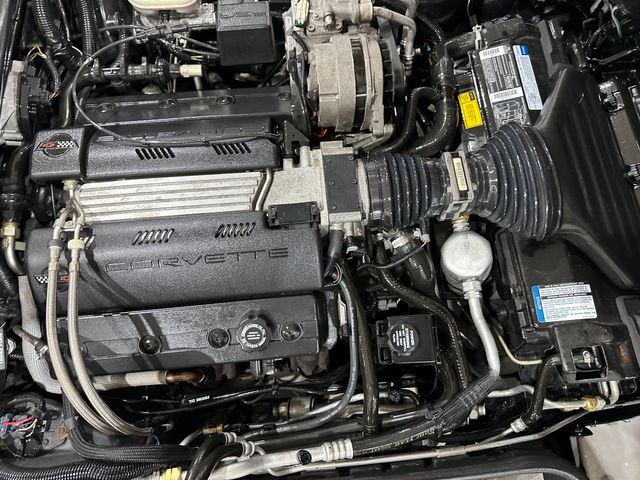 1994 Chevrolet Corvette Coupe Glass Top, Alloys, Auto, Black Rose, 21k | Dallas, Texas | Corvette Warehouse 