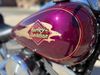 1996 Harley-Davidson Softail Springer FXSTS | Oaks, PA | East 11 Motorcycle Exchange, LLC 1996 Harley-Davidson Softail Springer FXSTS | Oaks, PA | East 11 Motorcycle Exchange, LLC