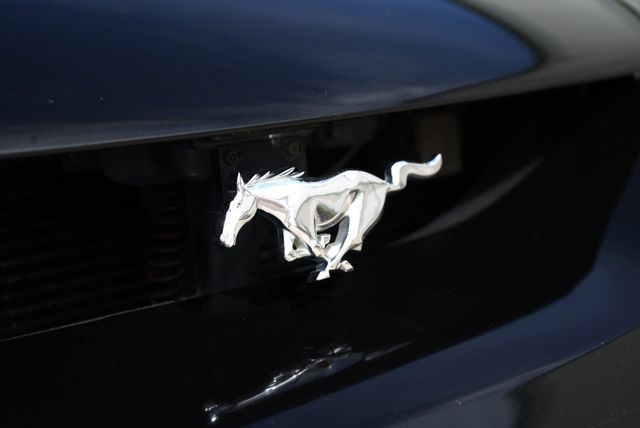 1997 Ford Mustang SVT Cobra | Fresno, CA | 2K MOTORS 1997 Ford Mustang SVT Cobra | Fresno, CA | 2K MOTORS