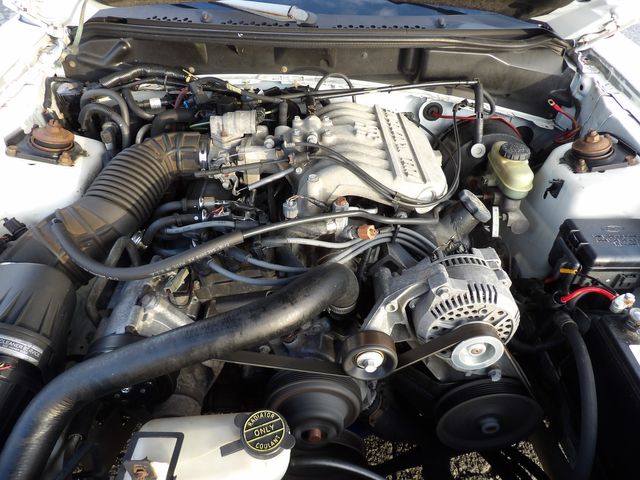 1998 Ford Mustang Base | Dalton, GA | Paniagua Auto Mall 