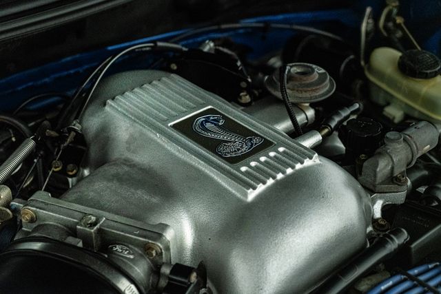 1998 Ford Mustang SVT Cobra 1-Owner in Rare Bright Atlantic Blue | Carrollton, TX | Texas Hot Rides