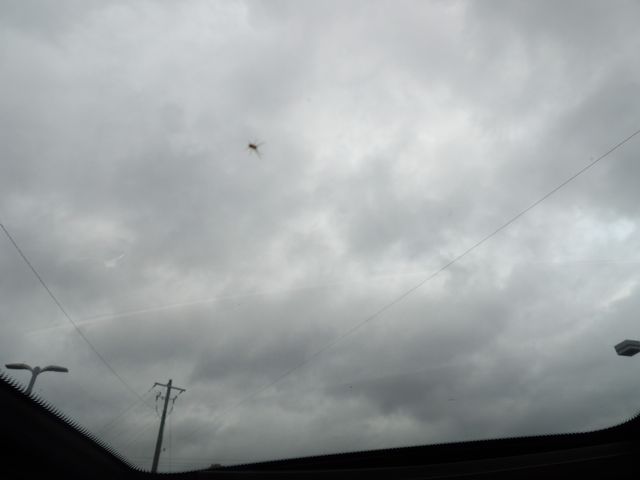 1998 Mercedes-Benz CLK 320 | Dalton, GA | Paniagua Auto Mall 1998 Mercedes-Benz CLK 320 | Dalton, GA | Paniagua Auto Mall