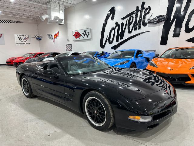 1999 Chevrolet Corvette CONV HUD, Z51, Cray's, Bose, Tips, Auto, Only 40k | Dallas, Texas | Corvette Warehouse 1999 Chevrolet Corvette CONV HUD, Z51, Cray's, Bose, Tips, Auto, Only 40k | Dallas, Texas | Corvette Warehouse