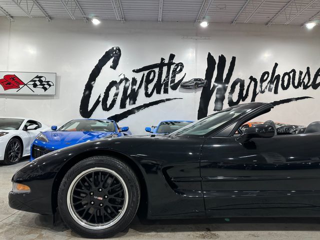 1999 Chevrolet Corvette CONV HUD, Z51, Cray's, Bose, Tips, Auto, Only 40k | Dallas, Texas | Corvette Warehouse 1999 Chevrolet Corvette CONV HUD, Z51, Cray's, Bose, Tips, Auto, Only 40k | Dallas, Texas | Corvette Warehouse