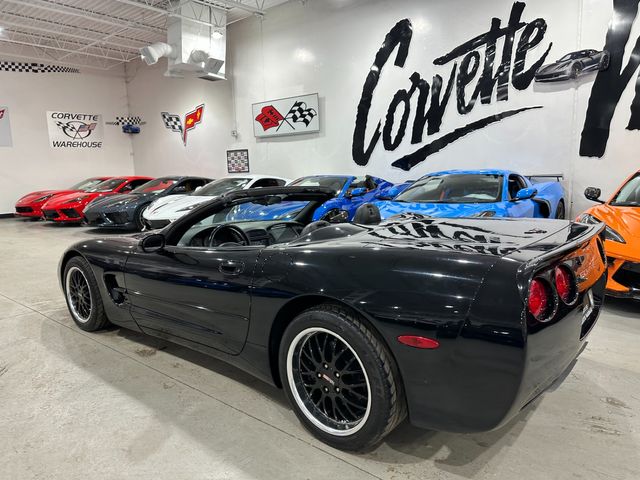 1999 Chevrolet Corvette CONV HUD, Z51, Cray's, Bose, Tips, Auto, Only 40k | Dallas, Texas | Corvette Warehouse 1999 Chevrolet Corvette CONV HUD, Z51, Cray's, Bose, Tips, Auto, Only 40k | Dallas, Texas | Corvette Warehouse