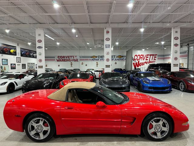 1999 Chevrolet Corvette Convertible AQ9, G92, B34, T96, B84, UN0, AG2 | Dallas, Texas | Corvette Warehouse 1999 Chevrolet Corvette Convertible AQ9, G92, B34, T96, B84, UN0, AG2 | Dallas, Texas | Corvette Warehouse