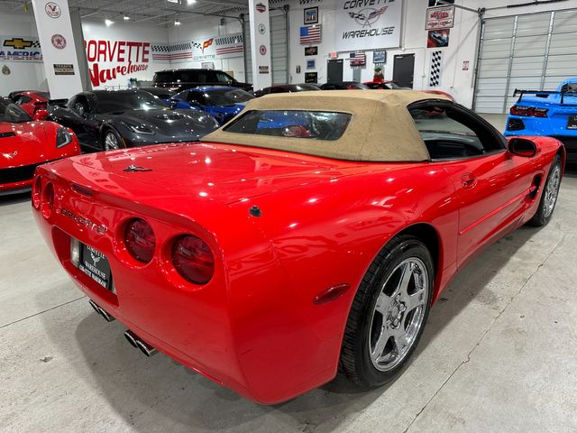 1999 Chevrolet Corvette Convertible AQ9, G92, B34, T96, B84, UN0, AG2 | Dallas, Texas | Corvette Warehouse 1999 Chevrolet Corvette Convertible AQ9, G92, B34, T96, B84, UN0, AG2 | Dallas, Texas | Corvette Warehouse