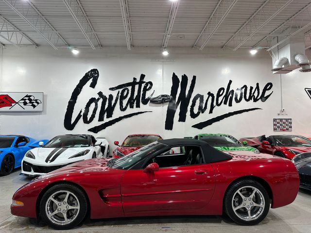 1999 Chevrolet Corvette CONV F45, JL4, Sports, 6-Speed, Chromes, Corsa 76k | Dallas, Texas | Corvette Warehouse 1999 Chevrolet Corvette CONV F45, JL4, Sports, 6-Speed, Chromes, Corsa 76k | Dallas, Texas | Corvette Warehouse