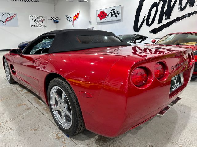 1999 Chevrolet Corvette CONV F45, JL4, Sports, 6-Speed, Chromes, Corsa 76k | Dallas, Texas | Corvette Warehouse 