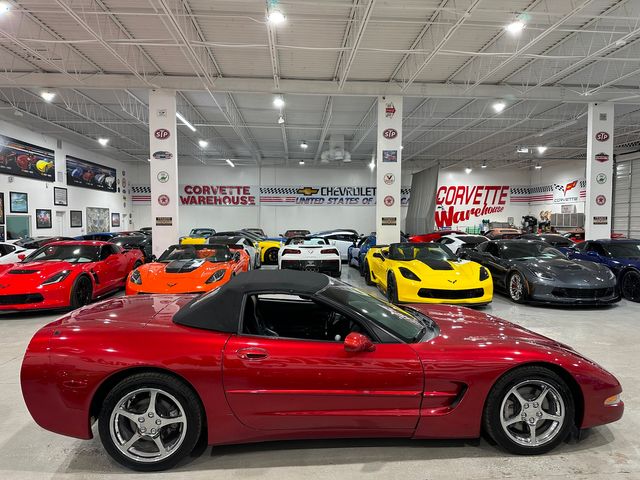 1999 Chevrolet Corvette CONV F45, JL4, Sports, 6-Speed, Chromes, Corsa 76k | Dallas, Texas | Corvette Warehouse 1999 Chevrolet Corvette CONV F45, JL4, Sports, 6-Speed, Chromes, Corsa 76k | Dallas, Texas | Corvette Warehouse