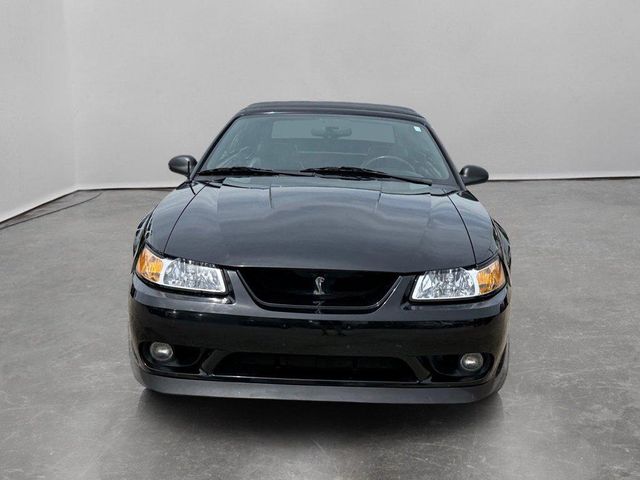 1999 Ford Mustang SVT Cobra Base | Arlington Heights, IL | Gmotorcars 1999 Ford Mustang SVT Cobra Base | Arlington Heights, IL | Gmotorcars