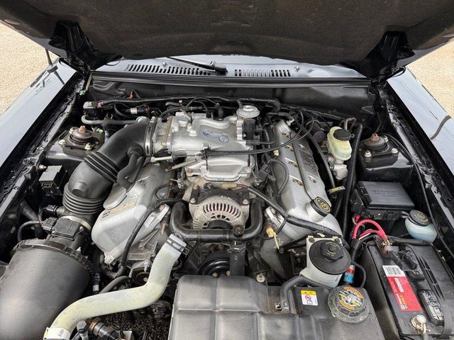 1999 Ford Mustang SVT Cobra Base | Arlington Heights, IL | Gmotorcars 1999 Ford Mustang SVT Cobra Base | Arlington Heights, IL | Gmotorcars