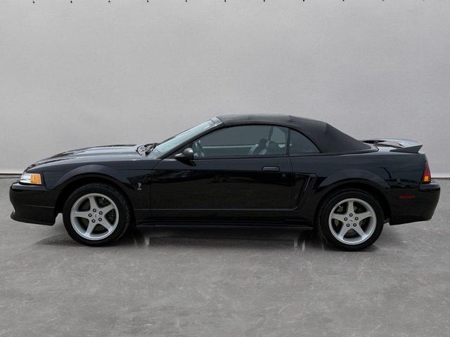 1999 Ford Mustang SVT Cobra Base | Arlington Heights, IL | Gmotorcars