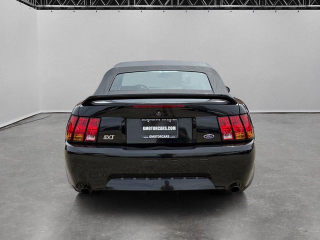 1999 Ford Mustang SVT Cobra Base | Arlington Heights, IL | Gmotorcars