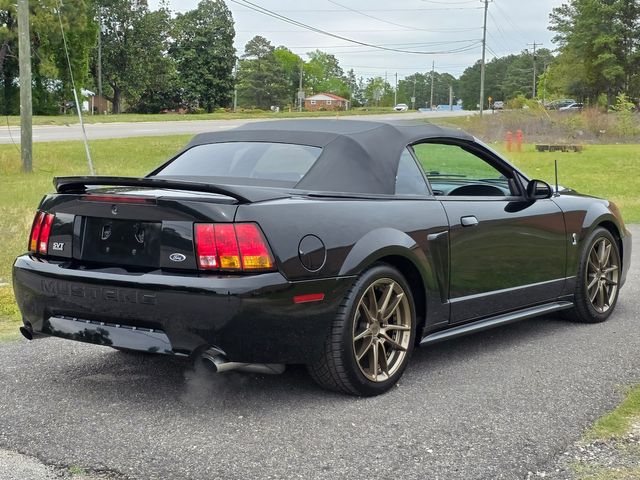 1999 Ford Mustang SVT Cobra Convertible 1999 Ford Mustang SVT Cobra Convertible