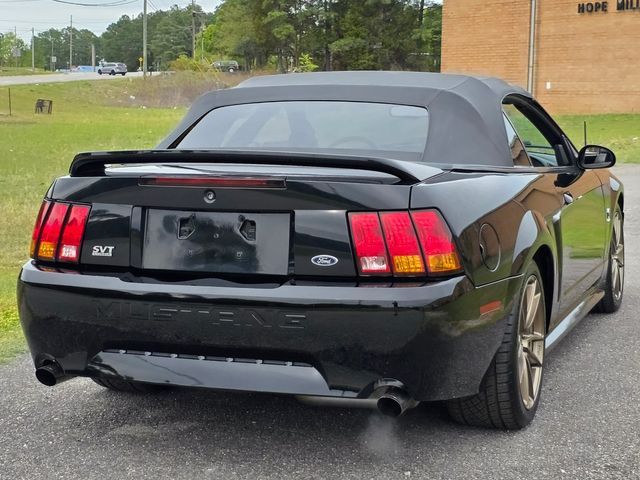 1999 Ford Mustang SVT Cobra Convertible