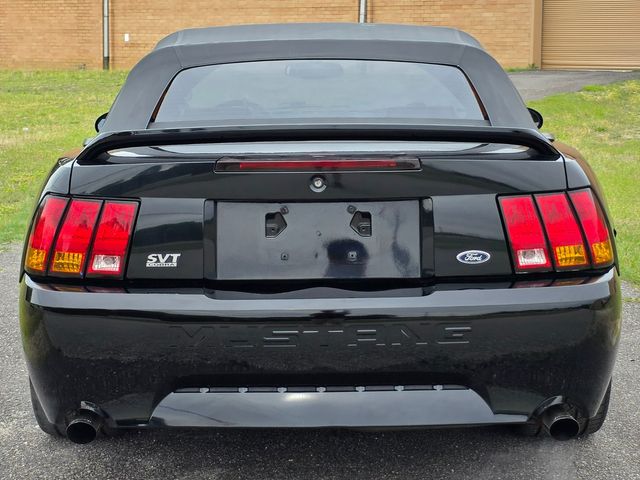 1999 Ford Mustang SVT Cobra Convertible 1999 Ford Mustang SVT Cobra Convertible