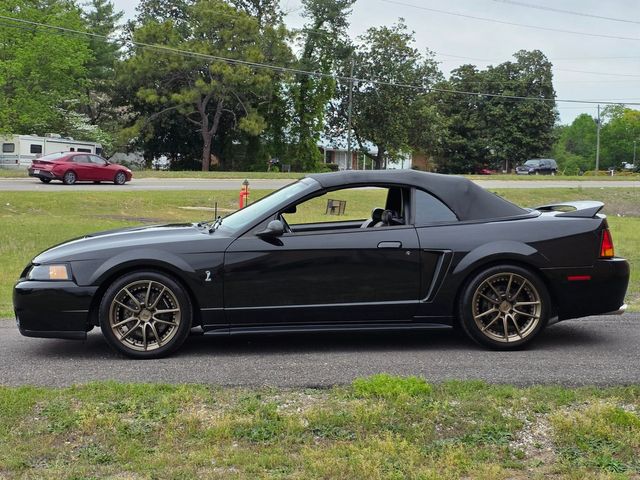 1999 Ford Mustang SVT Cobra Convertible