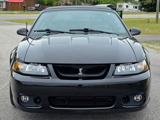 1999 Ford Mustang SVT Cobra Convertible