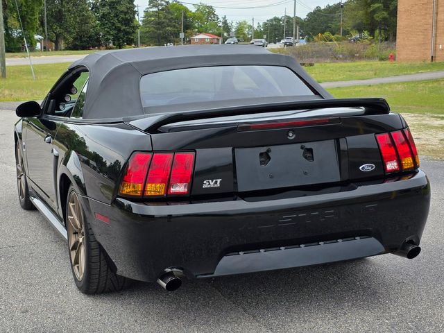 1999 Ford Mustang SVT Cobra Convertible