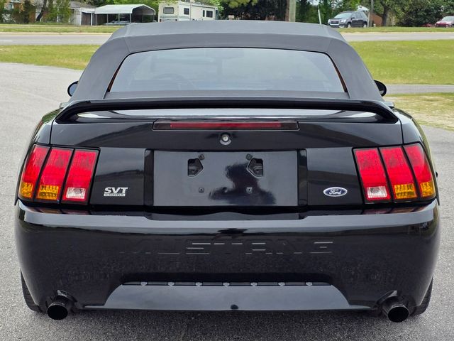 1999 Ford Mustang SVT Cobra Convertible