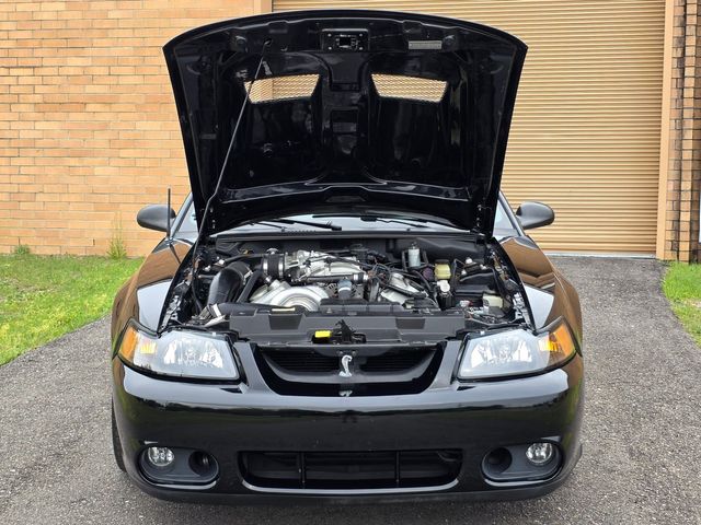 1999 Ford Mustang SVT Cobra Convertible 1999 Ford Mustang SVT Cobra Convertible