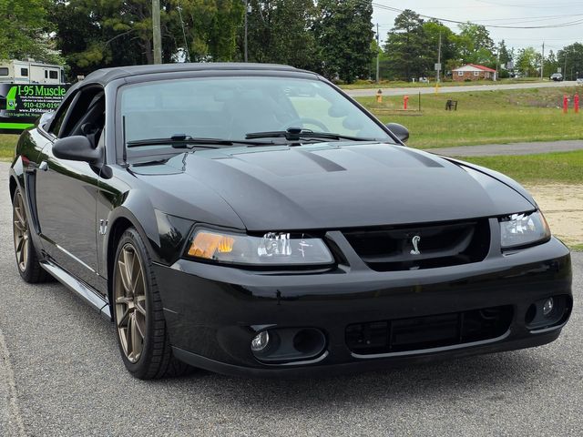 1999 Ford Mustang SVT Cobra Convertible